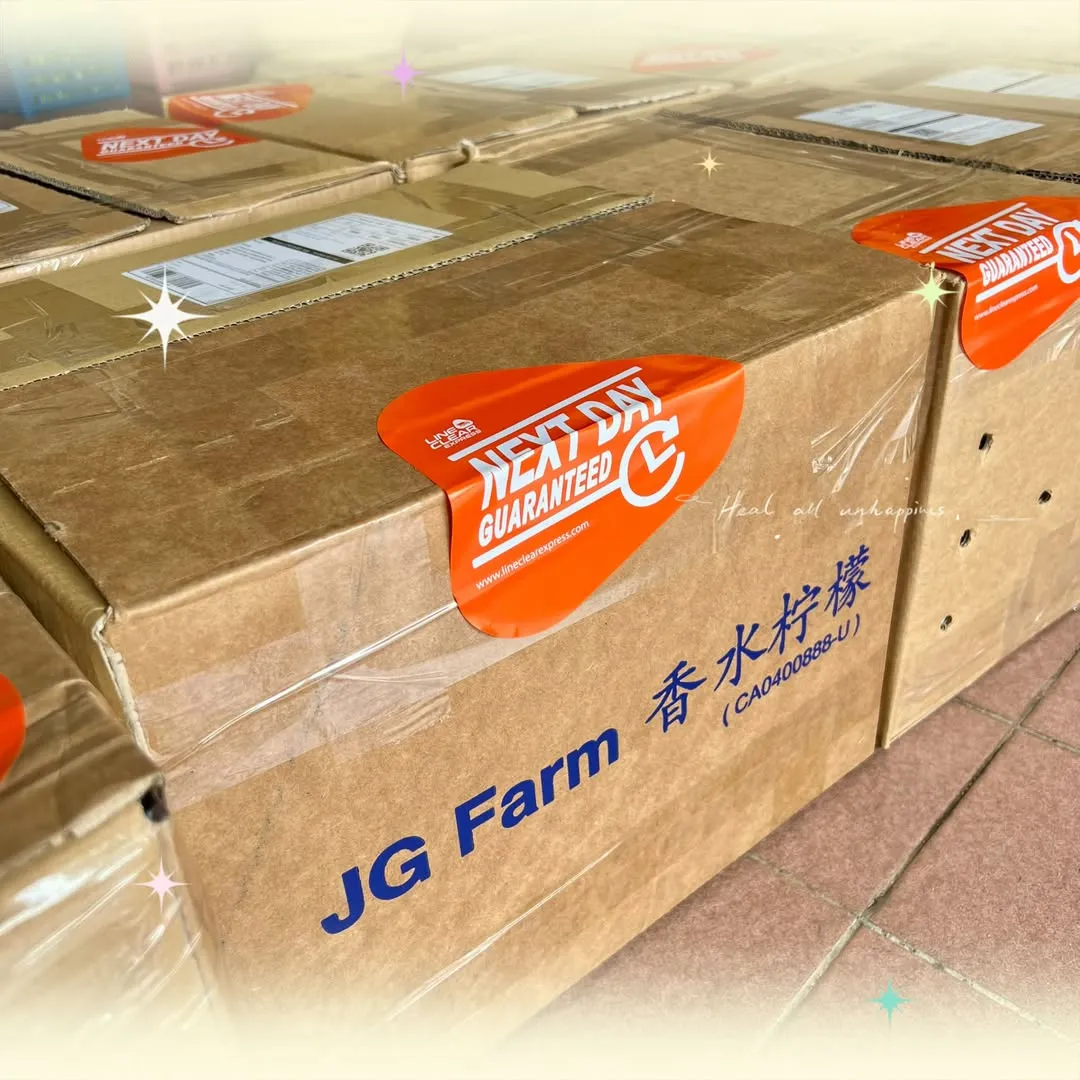 Sealed JG Farm delivery boxes of Guangdong Perfume Lemons ready for shipping