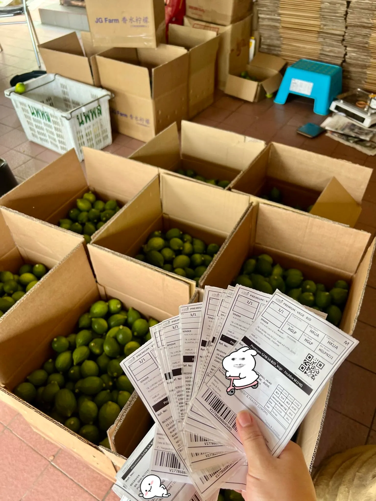 Crates of freshly packed perfume lemons with delivery labels ready to send out