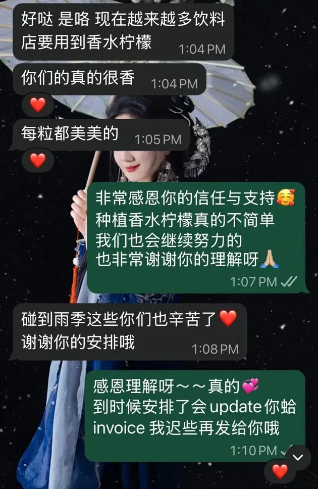 WhatsApp Review: 茶饮连锁合作伙伴（雪隆区）