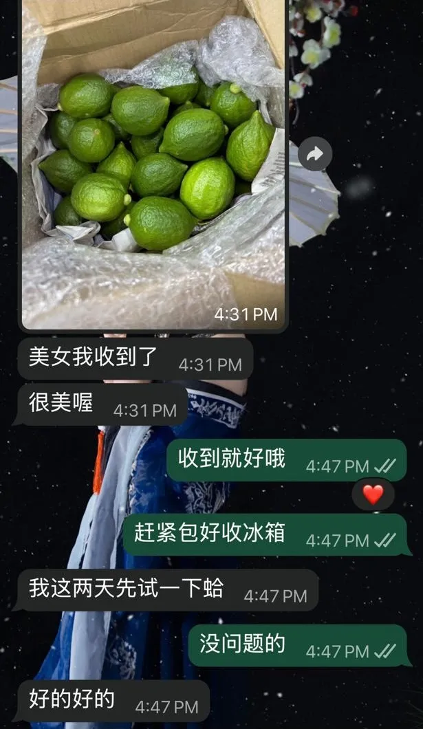 WhatsApp Review: 餐饮商户