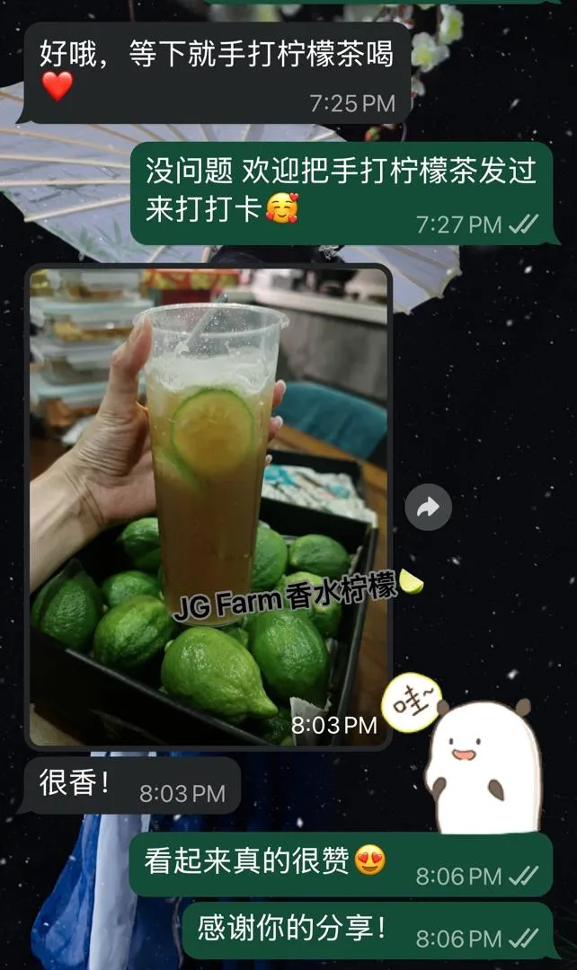 WhatsApp Review: 茶饮爱好者 / 创业者