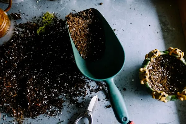 Rich organic compost soil used at JG Farm
