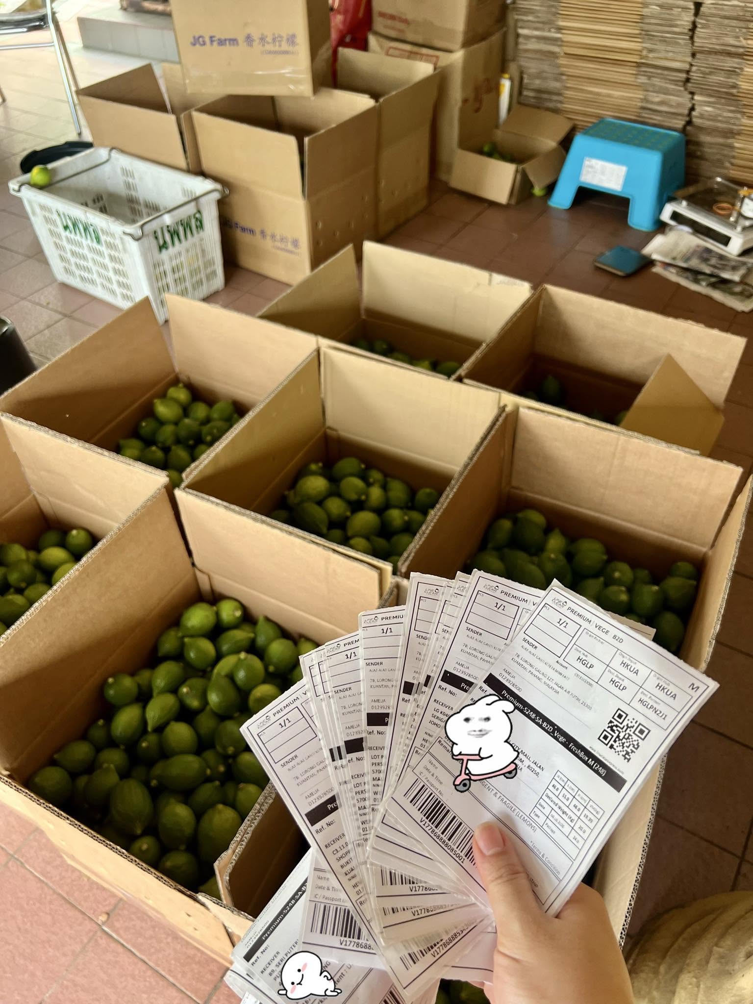 Crates of freshly packed perfume lemons with delivery labels ready to send out