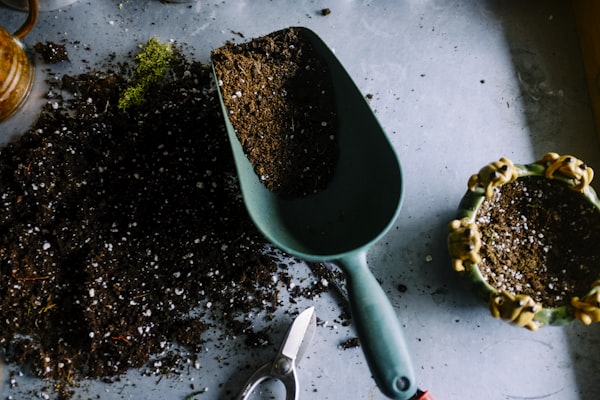 Rich organic compost soil used at JG Farm